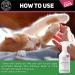 C&G Pets | Cat Detangler Spray 250ml | Vegan Detangling Spray For Cats And Kittens | Natural Deodorising Daily Grooming Dematting Conditioner | Ph Perfect For Sensitive Cat Skin White - Buy Online on GoSupps.com