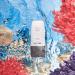 Blithe Honest Sunscreen for pH Balance & Mild Protection - Korean Skincare Chemical Sun Protection Replenish Skin pH 5.5 Balancing Formula SPF 50+ PA++++ (50 ml) - Buy Online on GoSupps.com