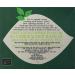 Clipper Organic Pure Green 80 Tea Bags - Buy Online on GoSupps.com