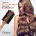 Sustainable Boar Bristle Round Brush with Birch Wood Handle - 2.5 inch for Styling, Blowouts and Curling - Buy Online on GoSupps.com