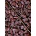 KoRo Organic Medjool Dates - Large Choice Honey-Sweet 15% Loose Skin Value Pack - Premium Quality International Shipping - Buy Online on GoSupps.com