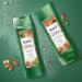 Suave Conditioner Moisturizing Almond + Shea Butter 12.6 oz - Paraben Free | Buy Online Internationally - Buy Online on GoSupps.com