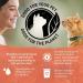 Purina Beyond Grain-Free Natural Adult Wet Cat Food Variety Pack - 24 Count - Buy Online on GoSupps.com