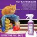 karlsten Anti Scratch Repellent spray professional Anti Chewing Deterrent For Full Home Protection From Cat Scratching Damage 500 ML - Buy Online on GoSupps.com