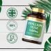 Psyllium Husk Capsules 1400mg | Fibre Supplement | 120 Powder Capsules | Vegan | by Carlyle - Buy Online on GoSupps.com