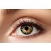 Eyecatcher 84063141-635 - Colored contact lenses 1 pair for 12 months green brown carnival Mardi Gras Halloween Tiger