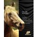 HOOFGOLD Hornpad for Horses - 10 Pads for Effective Thrush and Frog Care | International Shipping - Buy Online on GoSupps.com
