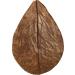 Arka Myscape Catappa Leaves - 10 Natural Seafaring Tree Leaves for Freshwater Aquariums | 8-12cm Enhances Fish & Shrimp Health - Buy Online on GoSupps.com