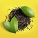 Lipton Diet Iced Tea Sugar Free - Lemon - 5.9 Oz - Buy Online on GoSupps.com