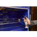 EZR Enzymatic 60 Second Oven Cleaner Spray - 8 Fl Oz (Pack of 2) - Fast and Easy Oven Cleaning Solution - Buy Online on GoSupps.com