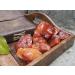 Crocon 1LB Carnelian Rough Bulk Natural Stone for Chakra Balancing and Crystal Healing - Good Luck Home Office Decor - Buy Online on GoSupps.com