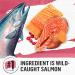 Purina Beyond Grain Free Dry Cat Food - Indoor Salmon & Egg 3 lb Bag - Buy Online on GoSupps.com