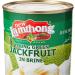 New Lamthong Young Green Jackfruit in Brine 565g - Authentic Thai Flavors | Pack of 1 - Buy Online on GoSupps.com
