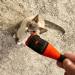 Cat Wine Pawty Plush Pack - Catnip CatWine Set for Cats & Kittens (Catbernet + Purrsecco) - Buy Online on GoSupps.com