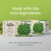 NutroGusto Tea Mint tea - 40g - Buy Online on GoSupps.com