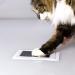 Pearhead Pet Ink Print Pad - Black | Easy Pet Paw Print Kit - Buy Online on GoSupps.com