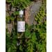 MOLFAR S Carpathian Handmade ECO 100% Pure Massage Oil - Soybean & Cotton Seed Oil | Thyme & Jasmine Essential Oils | Perfect for All Skin Types | Ukrainian Artisan Craft - Buy Online on GoSupps.com