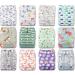 Buy Littles and Bloomz FLP2-1203 Reusable Diapers - Standard Popper (12 Pack) | Eco-Friendly Cloth Diapers for International Shipping - Buy Online on GoSupps.com