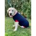 Dog Surgical Bodysuit | Wound Protection Suit for Dogs | Medical Pet Shirt | Recovery Suit (Large Blue) - Buy Now! - Buy Online on GoSupps.com