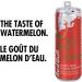 Red Bull Energy Drink Watermelon 355ml (24 pack) 355ml (Pack of 24) - Buy Online on GoSupps.com