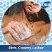Dial Springwater Body Wash 16 oz - Hydrating and Refreshing Shower Gel - Buy Online on GoSupps.com