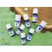 Maitreya Natura 100% Natural Ginger Essential Oil | 5ml Aromatherapy Diffuser & Massage | Cruelty-Free & Vegan Quality - Buy Online on GoSupps.com