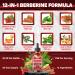 Tenmido 12in1 Berberine Supplement - Berberine Liquid Drops with Ceylon Cinnamon Bitter Melon Turmeric Quercetin Artichoke Apple Cider Vinegar Green Tea & More - 30 Days Supply - 1FL Oz - Buy Online on GoSupps.com