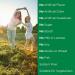 Nature's Bounty Acidophilus Probiotic Twin Pack - 200 Tablets for Digestive Health - Buy Online on GoSupps.com