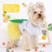 Summer Mesh Dog Dress for Small Dogs - Cute Princess Outfit for Yorkies Chihuahuas & Teacup Puppies - Perfect Dog Birthday Clothes in Medium Yellow - Buy Online on GoSupps.com