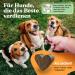 Flockis 90 Snacks for Itchy Dogs | Healthy Skin & Shiny Fur with Algae Green Lipped Shell Vitamin A Zinc & Zichoric Root No Salmon Oil - Buy Online on GoSupps.com