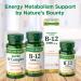 Nature's Bounty B-12 Twin Pack - Cherry Flavor 5000 mcg | 40 Quick Dissolve Tablets - Buy Online on GoSupps.com