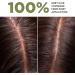 LAZARTIGUE LA COULEUR ABSOLUE - Permanent Hair Dye with Professional Pigments - Ammonia PPD Resorcinol Mineral Oils and Silicone Free 1 box 3.00 - Dark Brown - Buy Online on GoSupps.com