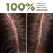 Lazartigue The Complete Color 5.00 - Light Chestnut Permanent Hair Dye | International Shipping Available - Buy Online on GoSupps.com