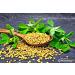 TRS Methi Seeds | 100G | Methi Seeds | Fenugreek Seeds | Indian Spice | Fresh Natural Dried Fenugreek | Used in Cooking & Ayurvedic Spice | Indian Origin (Pack of 2) - Buy Online on GoSupps.com