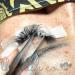 The Lash Co. Silicone Gel Tape for Lash Extensions - Gentle and Easy to Remove - Blue - Buy Online on GoSupps.com