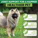Senior Dog Joint Supplements - Glucosamine & Chondroitin - Pain Relief & Mobility Support - 120 Chicken Flavour Tablets - Buy Online on GoSupps.com