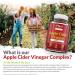 High Strength Apple Cider Vinegar Gummy 1000mg with The Mother - 90 Vegan Gummies - Vitamin C, B12, B6, Folic Acid - Pomegranate & Beetroot Complex - Buy Online on GoSupps.com