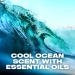 AXE Men's Deodorant Stick - Cool Ocean Scent, Long Lasting Odor Protection, Aluminum Free - 3 oz (Pack of 4) - Buy Online on GoSupps.com
