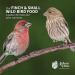 Schoen Farms Finch and Small Wild Bird Seed Food Mix (5 LBS) - Buy Online on GoSupps.com