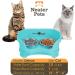 Neater Feeder Deluxe for Cats - Mess-Proof Elevated Bowls - Stainless Steel Stand (Aquamarine) - Buy Online on GoSupps.com