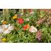 Earth Shapes Seed Paper Packs - Blue Green - 25 Shapes - Bloomin - Buy Online on GoSupps.com