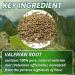 Hanan Peruvian Secrets Valerian Root Capsules (100ct) - Pure Valeriana Te de Valeriana Herbal Calming Night Relaxation Wellness Support Tea Supplement from Peru - Buy Online on GoSupps.com