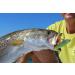 Yo-Zuri 3D Inshore Twitchbait Slow Sinking Lure - Mullet 90mm - Pack of 1 - Buy Online on GoSupps.com
