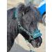 Equipride Horse Print Faux Lined Nylon Headcollars with Matching Lead Rope Green (Mini Shetland) - Buy Online on GoSupps.com