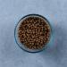 Evolve Grain-Free Ocean Whitefish and Egg Cat Food - Premium Recipe for Healthy Cats - Buy Online on GoSupps.com