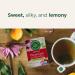 Traditional Medicinals - Organic Throat Coat Lemon Echinacea Herbal Tea (Pack of 6) - Helps Relieve Symptoms of Upper Respiratory Tract Infection - Sustainably Sourced Fair Wild Ingredients - 96 Tea Bags Total Throat Coat Lemon Echinacea 16 Count (Pack of - Buy Online on GoSupps.com