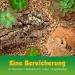 10L Cork Granulate for Terrariums | Rough Cork Substrate (4-12mm) - Ideal for Reptiles D cor & Model Building - Buy Online on GoSupps.com