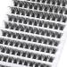 Pleell Lash Clusters 110 pcs DD Curl Individual Eyelash Extensions 10-16mm - Natural & Wispy DIY Eyelashes - Buy Online on GoSupps.com