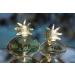 FRAGONARD Grain de Soleil Eau De Parfum 50ml - Buy Online on GoSupps.com