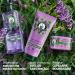 Herbal Essences Anti-Frizz Shampoo Lavender Scent 250ml Cleanses Nourishes & Smoothes Frizzy Hair Naturally Derived Ingredients Silicone Free Vegan & Cruelty Free - Buy Online on GoSupps.com